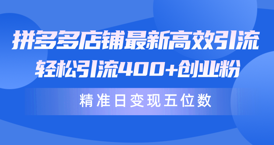 拼多多店铺最新高效引流术，轻松引流400+创业粉，精准日变现五位数！-宏欣副业精选