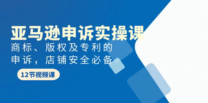 亚马逊申诉实战课，​商标、版权及专利的申诉，店铺安全必备-宏欣副业精选