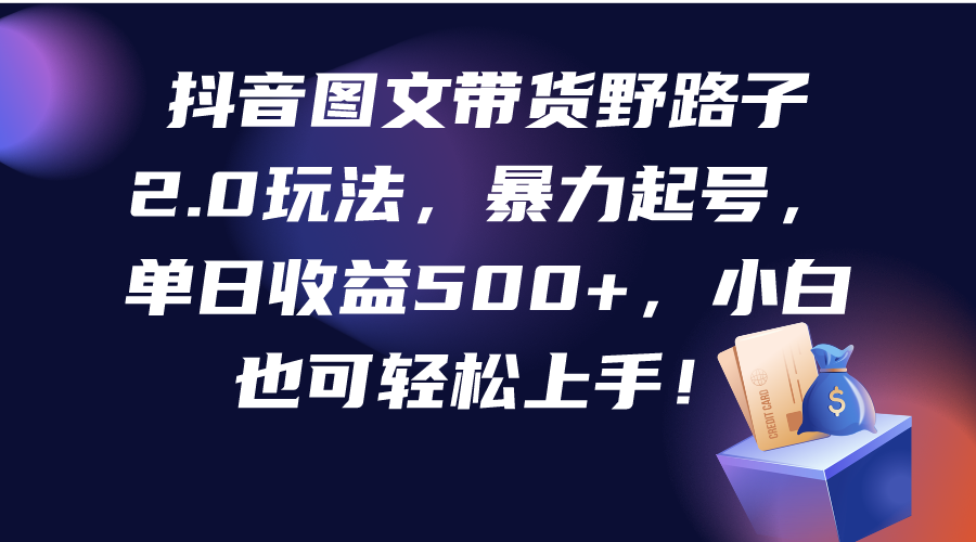 抖音图文带货野路子2.0玩法，暴力起号，单日收益500+，小白也可轻松上手！-宏欣副业精选