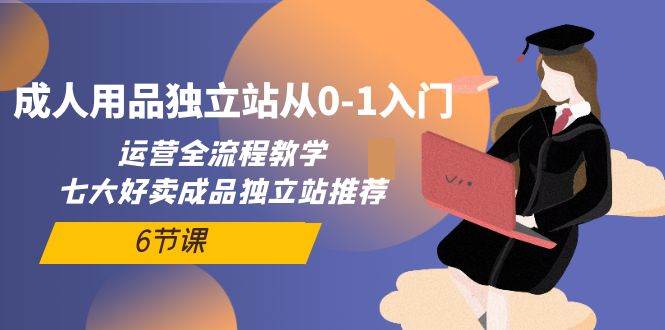 大人用品独立站从0-1入门，运营全流程教学，七大好卖成品独立站推荐-6节课-宏欣副业精选