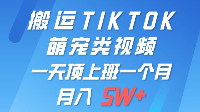 一键搬运TIKTOK萌宠类视频 一部手机即可操作 所有平台均可发布 轻松月入5W+-宏欣副业精选