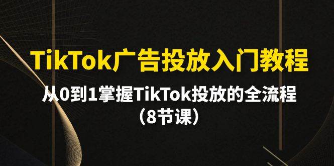 TikTok广告投放入门教程，从0到1掌握TikTok投放的全流程（8节课）-宏欣副业精选