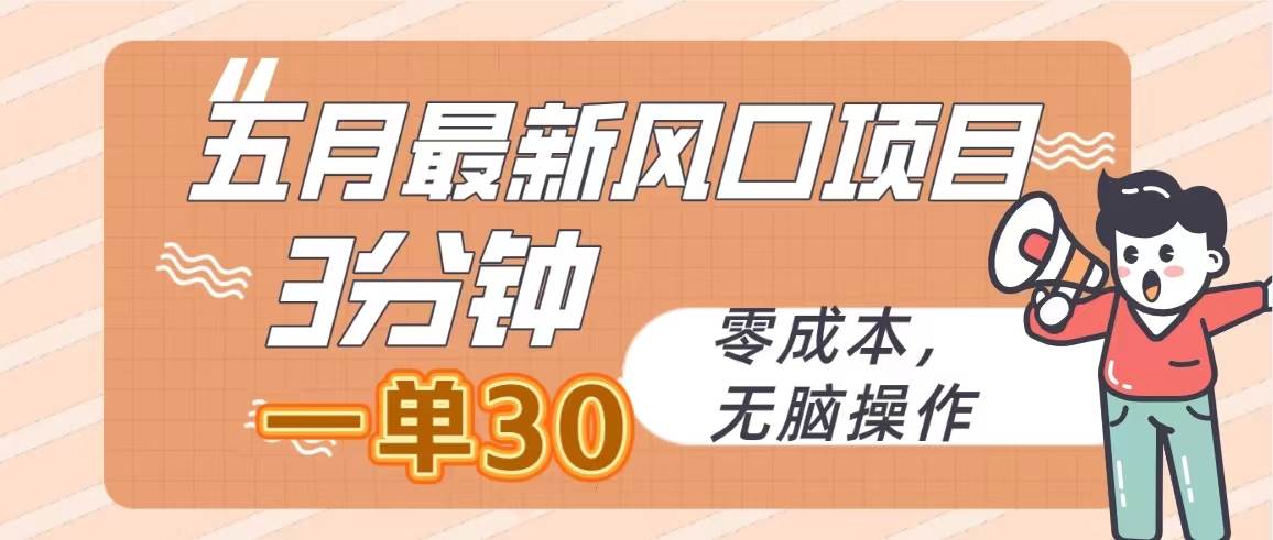 五月最新风口项目，3分钟一单30，零成本，无脑操作-宏欣副业精选