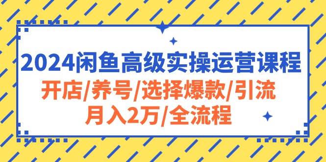 2024闲鱼高级实操运营课程：开店/养号/选择爆款/引流/月入2万/全流程-宏欣副业精选