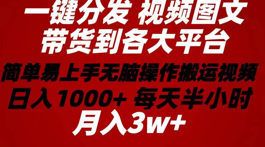 2024年 一键分发带货图文视频 简单易上手 无脑赚收益 每天半小时日入1…-宏欣副业精选