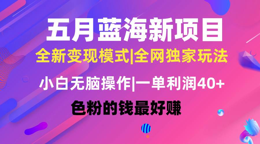 五月蓝海项目全新玩法，小白无脑操作，一天几分钟，矩阵操作，月入4万+-宏欣副业精选