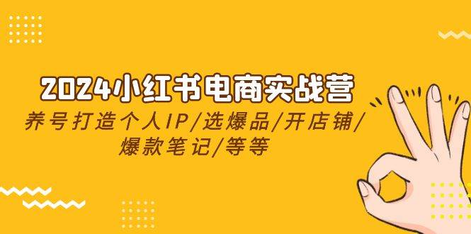 2024小红书电商实战营，养号打造IP/选爆品/开店铺/爆款笔记/等等（24节）-宏欣副业精选