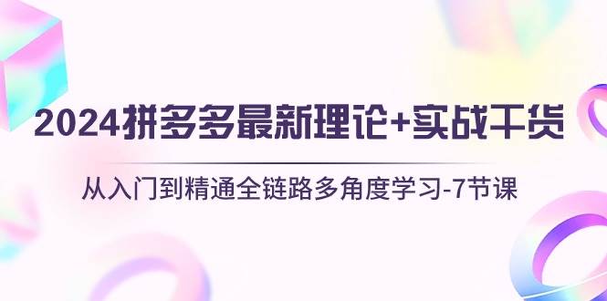 2024拼多多 最新理论+实战干货，从入门到精通全链路多角度学习-7节课-宏欣副业精选