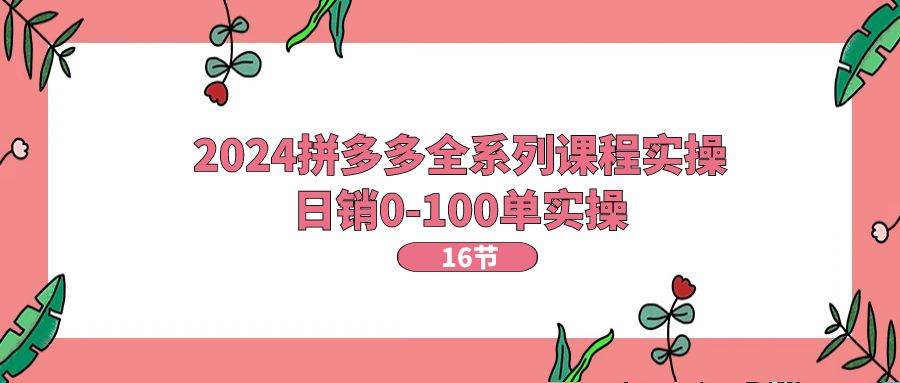 2024拼多多全系列课程实操，日销0-100单实操【16节课】-宏欣副业精选