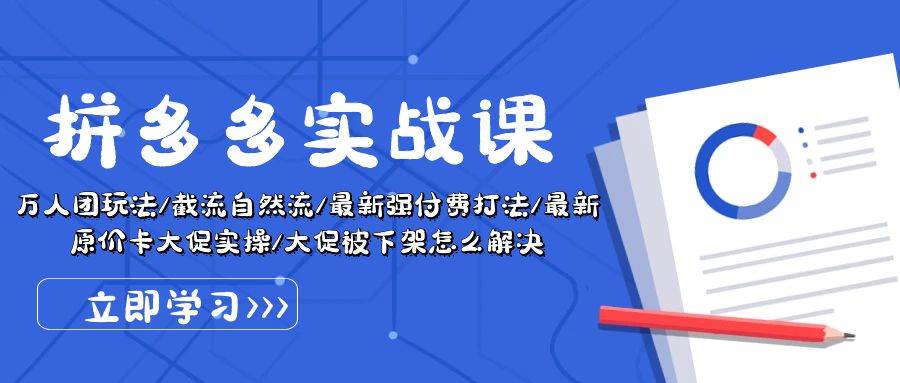 拼多多·实战课：万人团玩法/截流自然流/最新强付费打法/最新原价卡大促..-宏欣副业精选