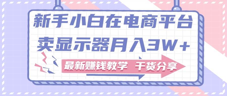 新手小白如何做到在电商平台卖显示器月入3W+，最新赚钱教学干货分享-宏欣副业精选