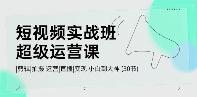 短视频实战班-超级运营课，|剪辑|拍摄|运营|直播|变现 小白到大神 (30节)-宏欣副业精选