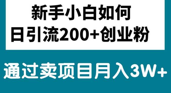 新手小白日引流200+创业粉,通过卖项目月入3W+-宏欣副业精选