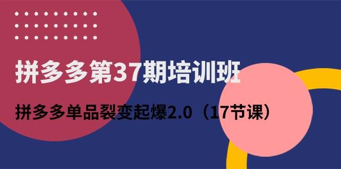 拼多多第37期培训班：拼多多单品裂变起爆2.0（17节课）-宏欣副业精选