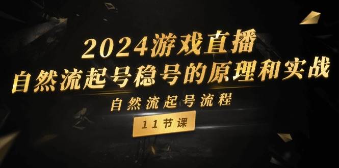 2024游戏直播-自然流起号稳号的原理和实战，自然流起号流程（11节）-宏欣副业精选