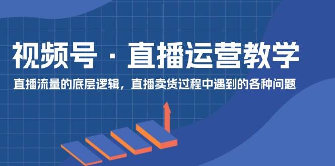 视频号 直播运营教学：直播流量的底层逻辑，直播卖货过程中遇到的各种问题-宏欣副业精选