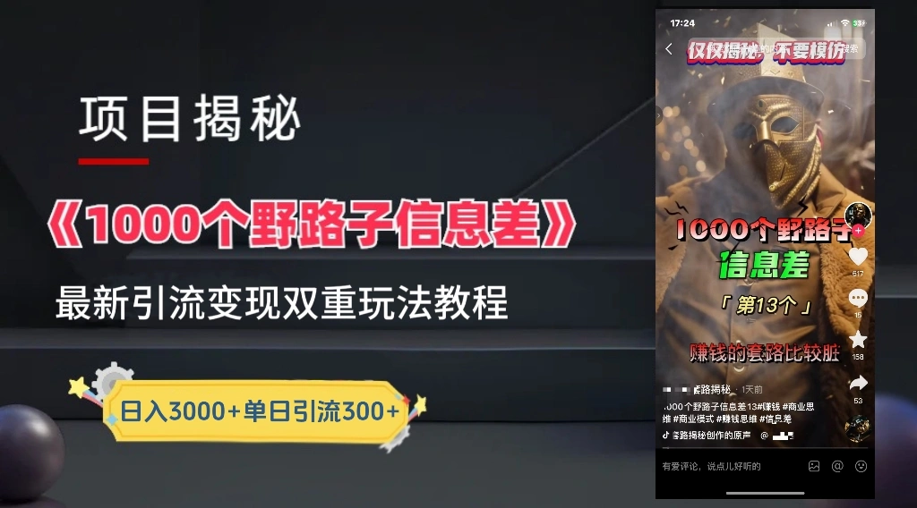 一千个野路子信息差24年最新玩法教程附带变现方法和引流的玩法具体拆解-宏欣副业精选