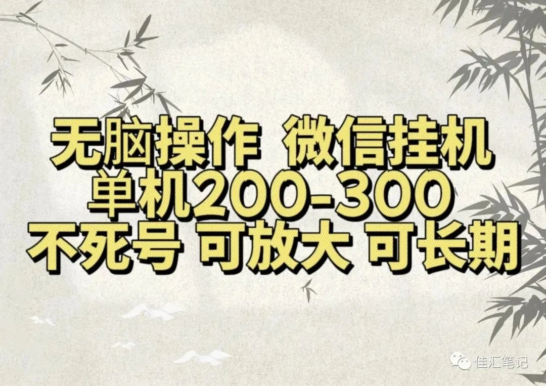 无脑操作微信视频号挂机单机200-300一天，不死号，可放大，工作室实测-宏欣副业精选