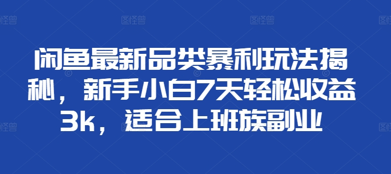 闲鱼最新品类暴利玩法揭秘，新手小白7天轻松赚3000+，适合上班族副业-宏欣副业精选