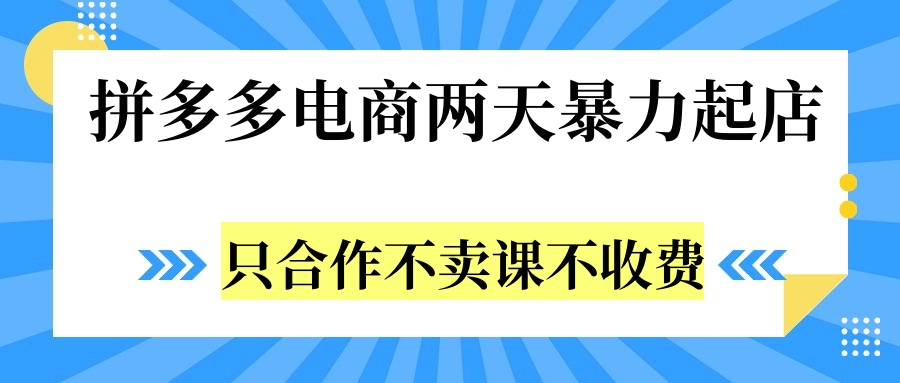 拼多多两天暴力起店，只合作不卖课不收费-宏欣副业精选